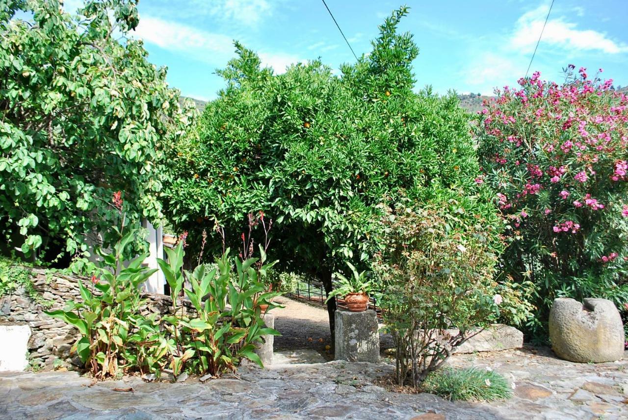 Casa De Mendiz Villa Vale de Mendiz Bagian luar foto